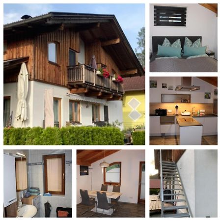Ferienwohnung Waldheim 그레이펜버그 외부 사진